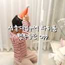 서울대입구역 파티룸 3시간 공간대여 가족사진촬영 후기
