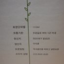 논공금포시장 이미지