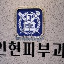 인현피부과의원 네이버블로그