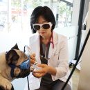 라라동물의료원 이미지