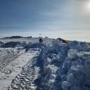 가리왕산목장 이미지