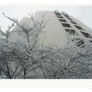 용구대로 이미지