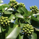 김종훈 농장 이미지