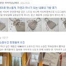 와디즈 그린메이커7 커피박 천연염색 소창수건 프리오더 후기