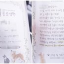 딜리동물병원 이미지