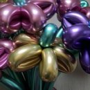 백승진농장 이미지