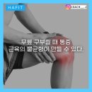 해핏 PT 이미지