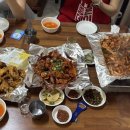 중앙곰장어 이미지