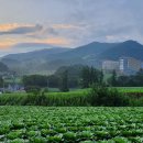 대관령 그림같은 펜션 이미지