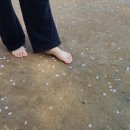 면역자연치유센터 이미지