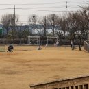 고양로봇박물관 이미지