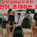 알바트로스 이미지