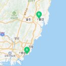 울산고양이분양 모나미네코 울산본점 이미지