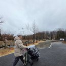 남생이못 | 비 오는 날 서울대공원 동물원 후기｜동물 볼 수 있을까? 실내 관람 꿀팁