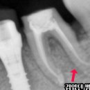 조재민치과의원 이미지