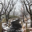 봄에 만난 가지산의 아름다운 설경 이미지