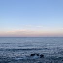 씨앤트리(Sea&Tree) | 기장 오션뷰카페 씨앤트리(SEA&amp;TREE) 아이와 갈만한 키즈카페도 있음