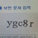 와이지투어 이미지