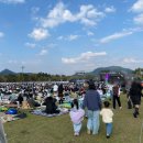 해돋는작은도서관 | 2025 세종보헤미안 뮤직페스티벌 양일권 29개월 아기랑 다녀온 후기