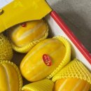 윤진농장 이미지