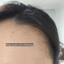 헤어팡팡 | [내돈내산] 다이소 태그 헤어 컨투어 쿠션 (헤어팡팡 저렴이) 솔직후기