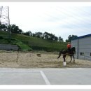 조이네집 이미지