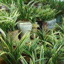 일흥꽃집 이미지