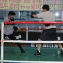 The 복싱클럽 이미지