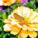 남동체육관 이미지