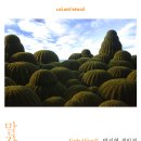 스튜디오-L