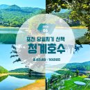 자작나무-쉼표 | 서울 근교 당일치기 여행, 새소리 가득한 포천 청계호수 산책길 소요시간 및 꿀팁