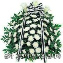 엄현 이미지