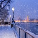 눈이야기 이미지