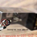 에버그린 이미지