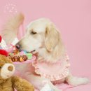 해피몽스데이 이미지