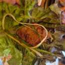 흰수정 놀이터2 이미지