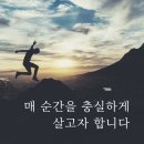 코스오토 이미지