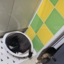 비니다락방