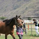 연천승마공원 이미지