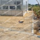 고하도안길 이미지