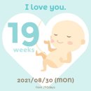 사마르예천 이미지