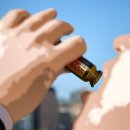 웰스리믹 이미지