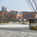 율포초등학교 이미지