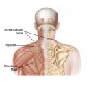 경희로움한의원 이미지