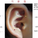 귀를 통한 건강관리 이미지