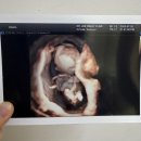 이장현산부인과의원 이미지