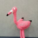 플라밍고 이미지