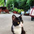 울릉도오션뷰펜션 | 🏠 울릉도풍경채펜션 숙박 솔직 후기｜저동 오션뷰 감성 펜션 🌊