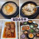 일미순두부 | 대구 맛집 김광석길 맛집 일미순두부 솔직후기