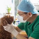 아라동물병원 이미지